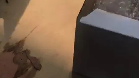 스테인레스 스틸로 만든 유리 난간 피팅